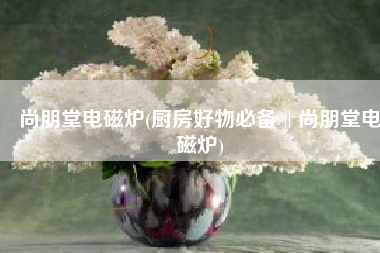 尚朋堂电磁炉(厨房好物必备‖尚朋堂电磁炉)