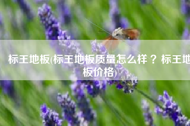 标王地板(标王地板质量怎么样 ？标王地板价格)