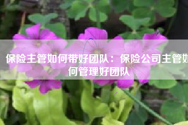 保险主管如何带好团队：保险公司主管如何管理好团队