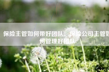 保险主管如何带好团队：保险公司主管如何管理好团队