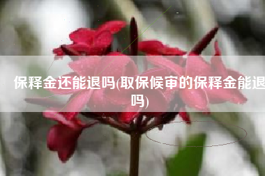 保释金还能退吗(取保候审的保释金能退吗)