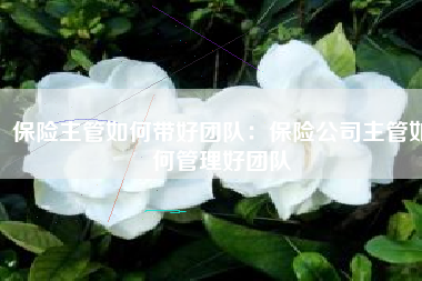 保险主管如何带好团队：保险公司主管如何管理好团队