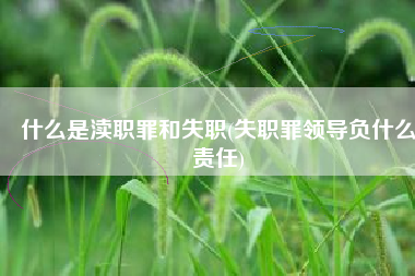 什么是渎职罪和失职(失职罪领导负什么责任)