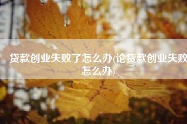贷款创业失败了怎么办(论贷款创业失败怎么办)