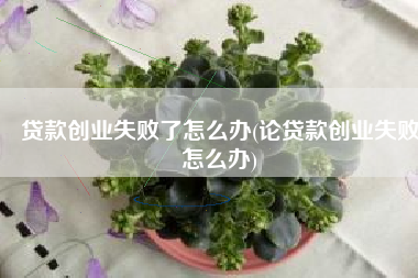 贷款创业失败了怎么办(论贷款创业失败怎么办)