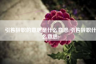 引咎辞职的意思是什么意思(引咎辞职什么意思)