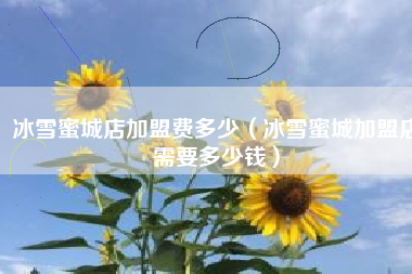 冰雪蜜城店加盟费多少（冰雪蜜城加盟店需要多少钱）