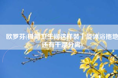 欧罗芬(极简卫生间这样装丨能沐浴拖地还有干湿分离)