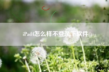 iPad4怎么样不登录下软件()