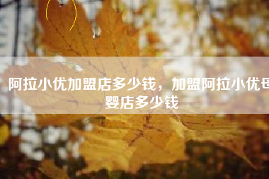 阿拉小优加盟店多少钱，加盟阿拉小优母婴店多少钱