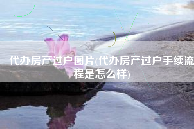 代办房产过户图片(代办房产过户手续流程是怎么样)