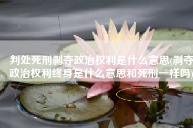 判处死刑剥夺政治权利是什么意思(剥夺政治权利终身是什么意思和死刑一样吗)