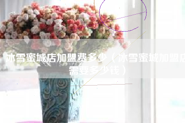 冰雪蜜城店加盟费多少（冰雪蜜城加盟店需要多少钱）