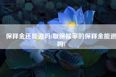 保释金还能退吗(取保候审的保释金能退吗)