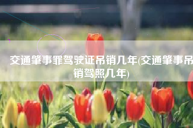 交通肇事罪驾驶证吊销几年(交通肇事吊销驾照几年)