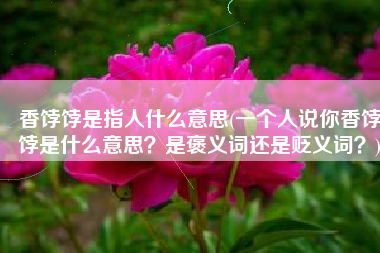 香饽饽是指人什么意思(一个人说你香饽饽是什么意思？是褒义词还是贬义词？)