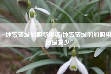 冰雪蜜城加盟费电话(冰雪蜜城的加盟电话是多少)