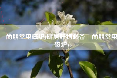 尚朋堂电磁炉(厨房好物必备‖尚朋堂电磁炉)