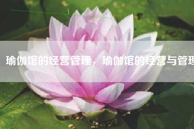 瑜伽馆的经营管理，瑜伽馆的经营与管理