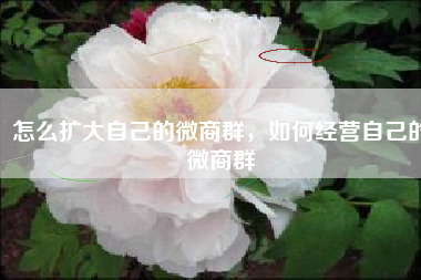 怎么扩大自己的微商群，如何经营自己的微商群