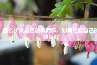 怎么扩大自己的微商群，如何经营自己的微商群
