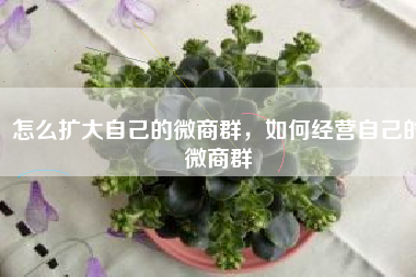 怎么扩大自己的微商群，如何经营自己的微商群