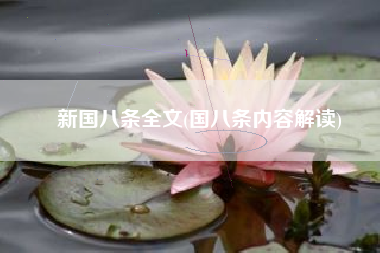 新国八条全文(国八条内容解读)