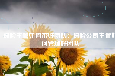 保险主管如何带好团队：保险公司主管如何管理好团队