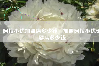 阿拉小优加盟店多少钱，加盟阿拉小优母婴店多少钱