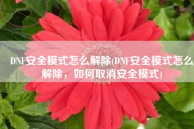 DNF安全模式怎么解除(DNF安全模式怎么解除，如何取消安全模式)