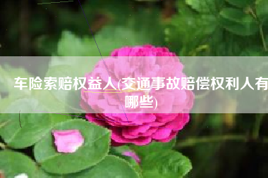 车险索赔权益人(交通事故赔偿权利人有哪些)