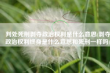 判处死刑剥夺政治权利是什么意思(剥夺政治权利终身是什么意思和死刑一样吗)