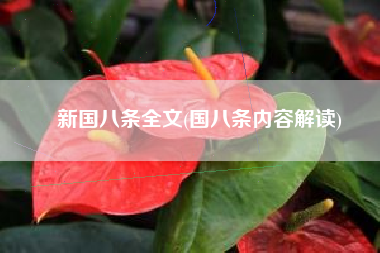 新国八条全文(国八条内容解读)