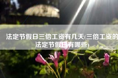 法定节假日三倍工资有几天(三倍工资的法定节假日有哪些)