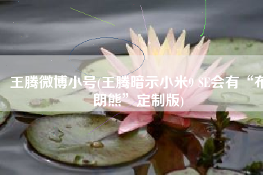 王腾微博小号(王腾暗示小米9 SE会有“布朗熊”定制版)