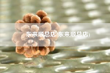 东来顺总店(东来顺总店)