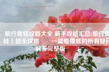 旅行青蛙攻略大全 新手攻略汇总(旅行青蛙｜超全攻略‼️一篇看懂蛙的所有疑问解答完整版‼️)