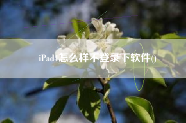 iPad4怎么样不登录下软件()