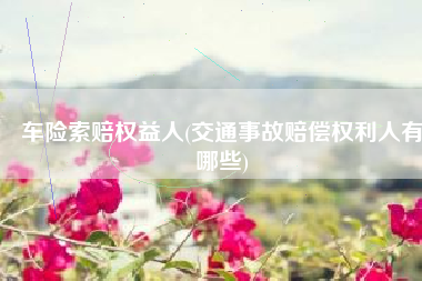 车险索赔权益人(交通事故赔偿权利人有哪些)