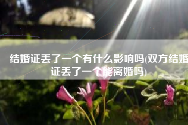 结婚证丢了一个有什么影响吗(双方结婚证丢了一个能离婚吗)