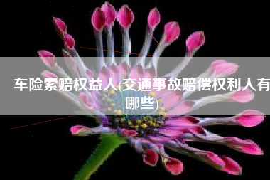 车险索赔权益人(交通事故赔偿权利人有哪些)