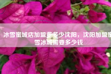 冰雪蜜城店加盟费多少沈阳，沈阳加盟蜜雪冰城需要多少钱