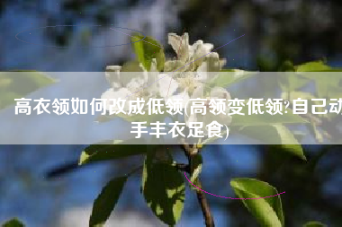 高衣领如何改成低领(高领变低领?自己动手丰衣足食)