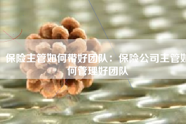保险主管如何带好团队：保险公司主管如何管理好团队