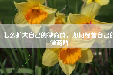 怎么扩大自己的微商群，如何经营自己的微商群