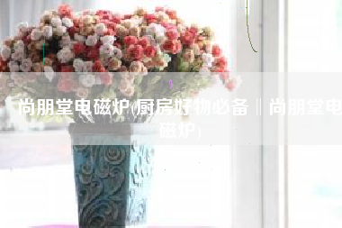 尚朋堂电磁炉(厨房好物必备‖尚朋堂电磁炉)