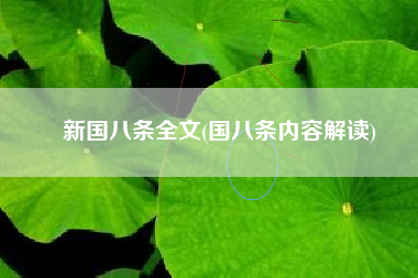 新国八条全文(国八条内容解读)