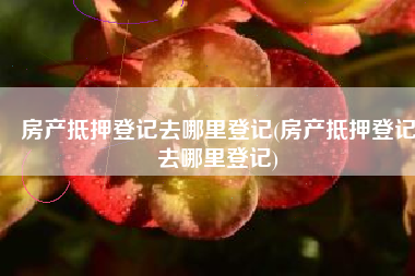 房产抵押登记去哪里登记(房产抵押登记去哪里登记)