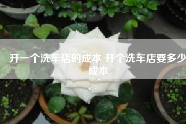 开一个洗车店的成本 开个洗车店要多少成本