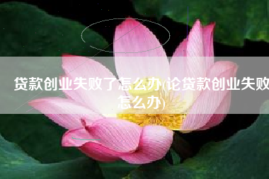 贷款创业失败了怎么办(论贷款创业失败怎么办)